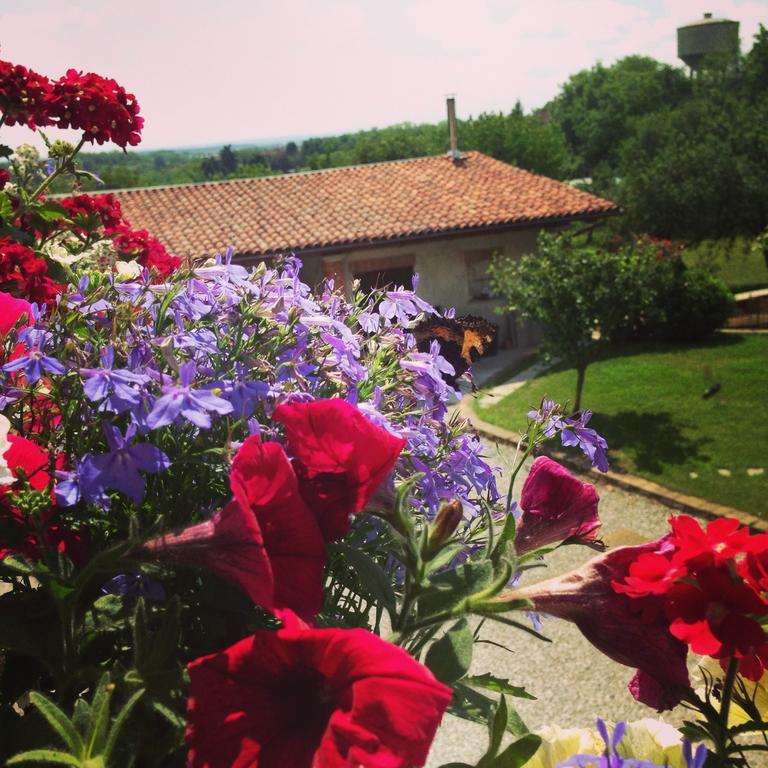 Agriturismo Fruttirossi Trofarello Luaran gambar